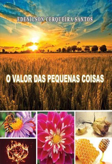 O Valor Das Pequenas Coisas Ebook By Edenilson Santos Epub Rakuten