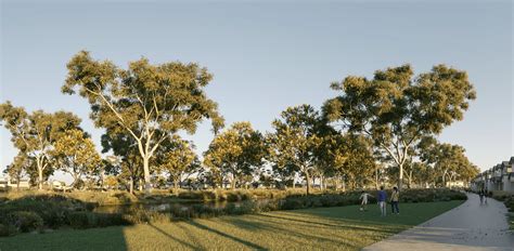 Wetlands & Walking - Eynesbury