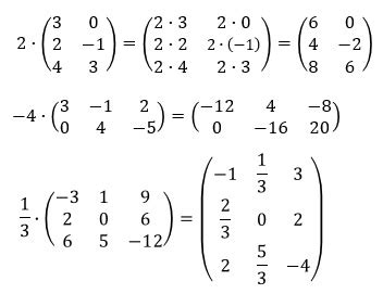 Escalar Por Una Matriz Universo Formulas