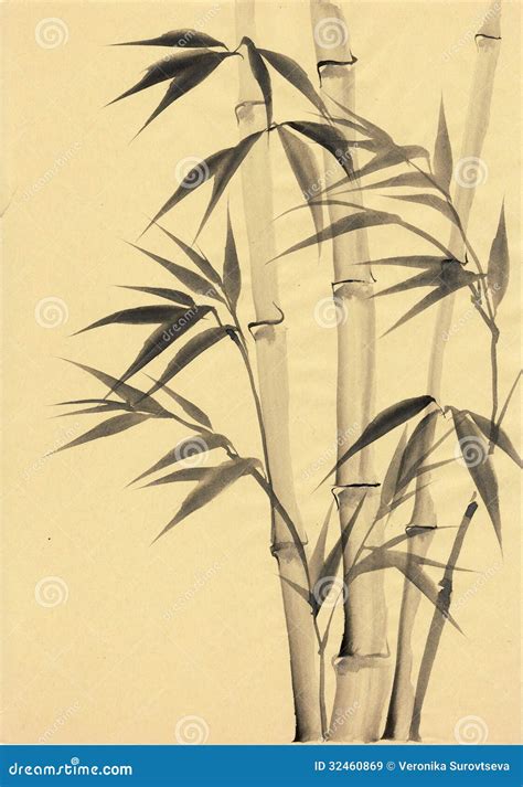 Watercolor Painting Of Bamboo Stock Illustration Illustration Of