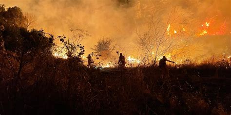 Incendio A Ustica I Cittadini Lo Spengono A Mani Nude La Rabbia Del