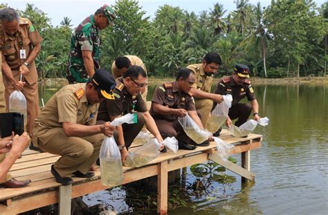 Wabup Akbar Dampingi Kajati Sulsel Kunker Di Kampung Pangan Adhyaksa