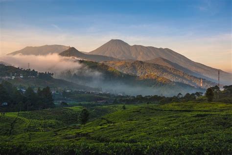 7 Fakta Pendaki Foto Bugil Di Gunung Gede Viral Di Medsos Hingga