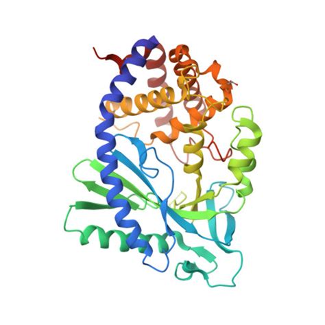 Rcsb Pdb Ftf Crystal Structure Of Apo Human Cyclic Gmp Synthase