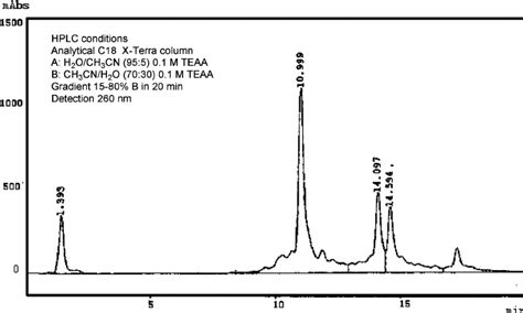 Hplc Purification Of Oligonucleotide Conjugate T 13 Leucine Zipper Download Scientific Diagram