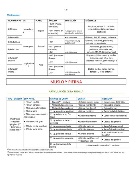 SOLUTION Articulaciones Miembro Inferior Studypool