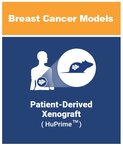 Breast cancer Patient-derived xenograft models - CrownBio