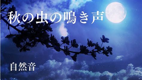 【睡眠用bgm／自然音】たいへんな一日を過ごしたあなたへ／秋の虫の鳴き声 虫の音 Youtube