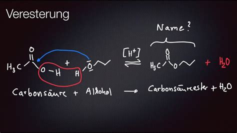 Veresterung Mechanismus Carbons Ure Alkohol Youtube