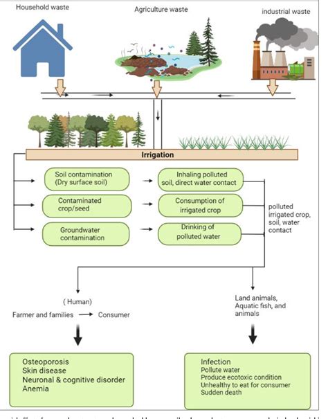 Pdf Wastewater Reuse For Irrigation Of A Vegetable Crops And Its