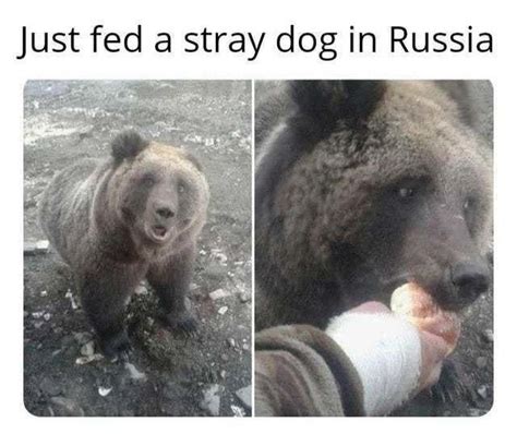classic russia : r/meme