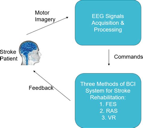 Figure 1 From Case Analysis On Three Methods Of Bci Systems For Stroke Rehabilitation Semantic