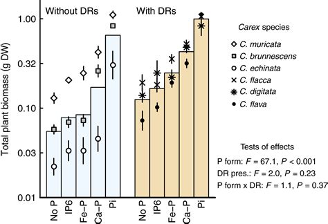 How Functional Is A Trait Phosphorus Mobilization Through Root