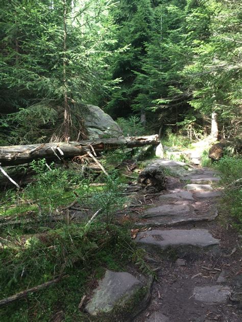 Nationalpark Schwarzwald Magazin Westweg Wandern Wildsee