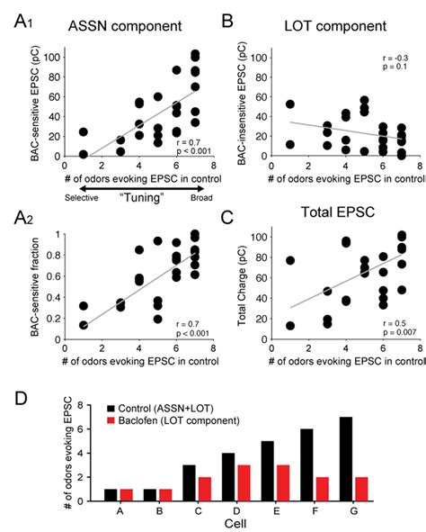 Intracortical Inputs Underlie Broadly Tuned Odor Evoked Excitation In Download Scientific