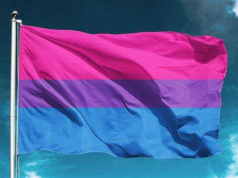 Bandera Bisexual Gran Formato Calidad Exterior Tienda Lgbt