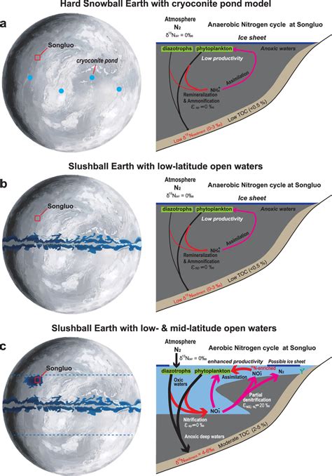 Three Models Of Refugia During Cryogenian Snowball Earth Glaciation