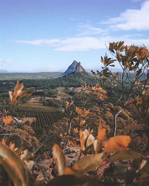 Glass House Mountains - QLD - Drop Bear Adventures