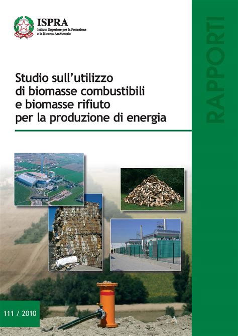 Studio Sullutilizzo Di Biomasse Combustibili E Biomasse Rifiuto Per La