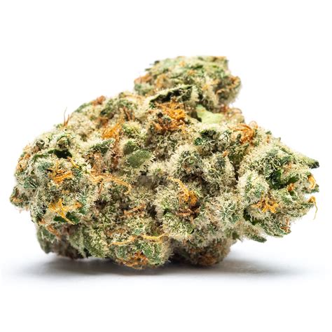 Platinum Tk Wash Hydro Dispensary