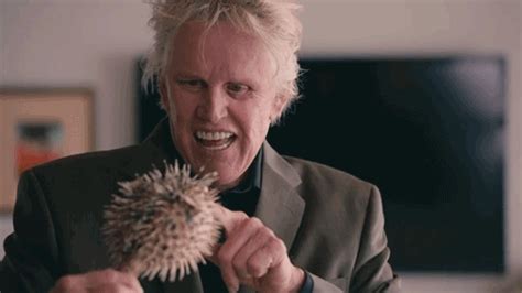 gary busey gifs | WiffleGif