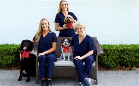 Veterinary Dermatologist Baltimore At Peter Wiggins Blog