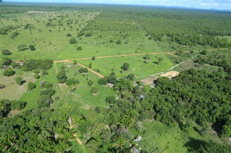 Fazenda A Venda Em Mato Grosso Fazendas Mato Grosso