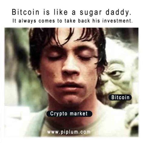 Funny Crypto Quotes. Every Person Holding Cryptocurrency Should Relate To.