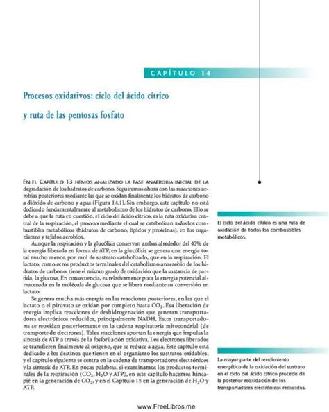 Procesos Oxidativos Ciclo del Ácido Cítrico y Ruta de las Pentosas