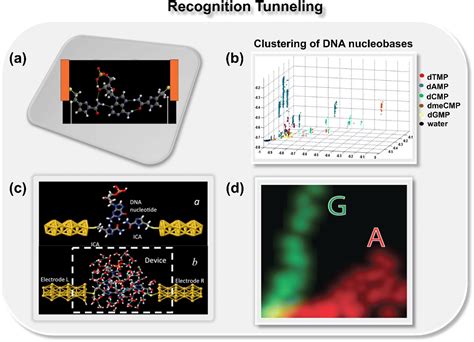 Machine Learning Empowered Next Generation Dna Sequencing Perspective And Prospectus Chemical