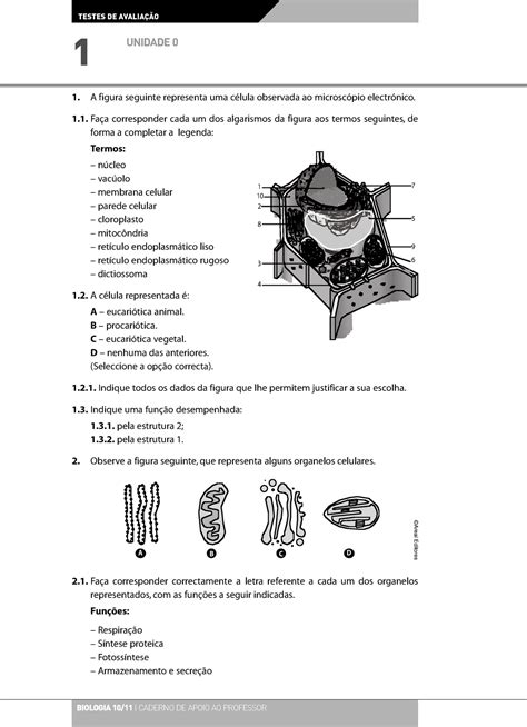 Exercícios de Biologia 10º ano Unidade 0 Células 1 A figura