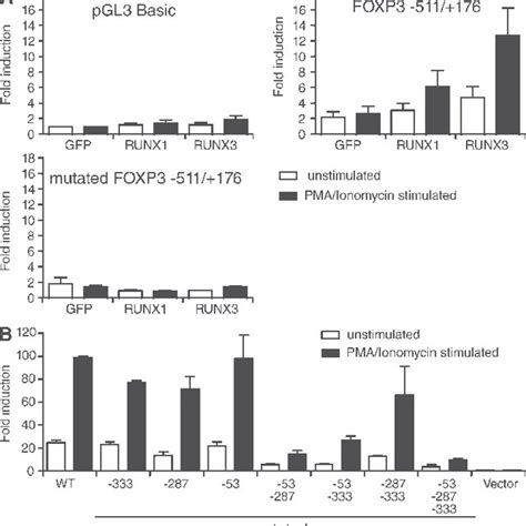 Runx And Runx Expression In Foxp T Reg Cells And In Human Cd