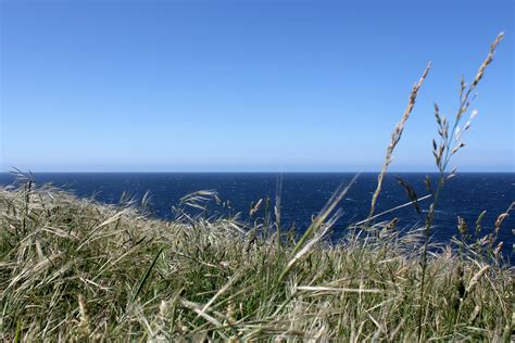 Free Images Beach Landscape Sea Coast Nature Sand Ocean