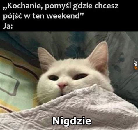 Nigdzie To Moje Ulubione Miejsce Jeja Pl