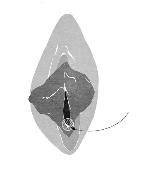Vaginale Atrophie Das Schicksal Unserer Vagina Wenn Wir Lter Werden