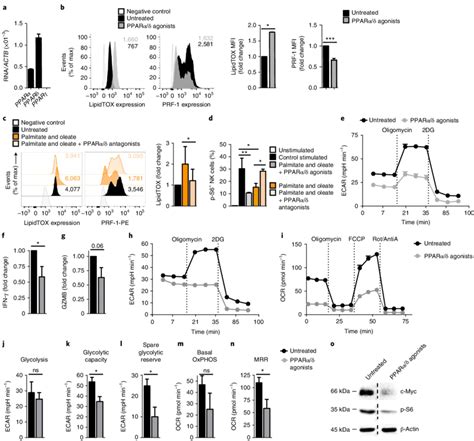 Activation Of The Pparαδ Pathway Induces Functional And Metabolic