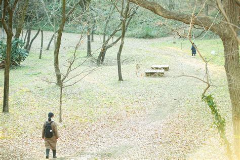 東村山さんぽ～志村けんだけじゃない！ そこかしこにある東村山産を巡る～｜さんたつ By 散歩の達人