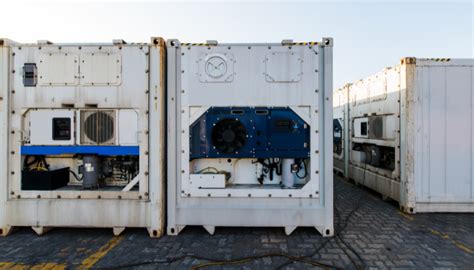 perbedaan reefer  general cargo container