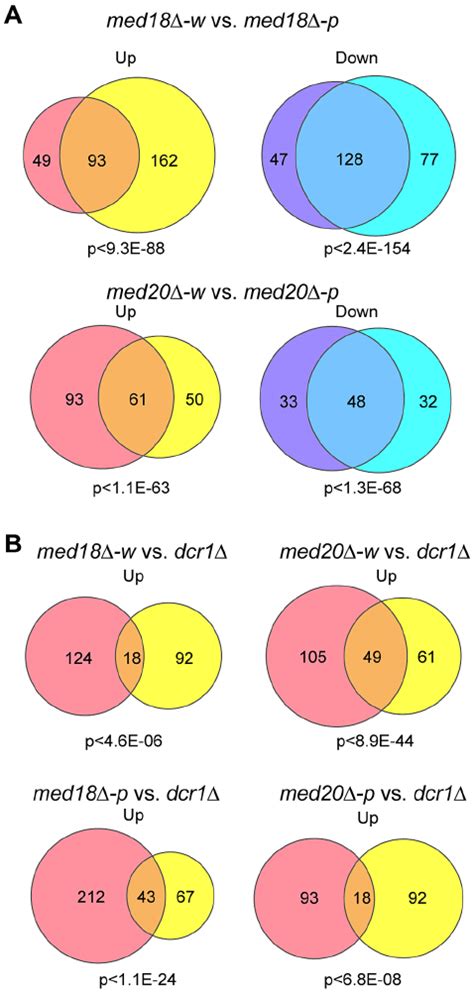 Model Of The Functions Of Mediator In Pericentromeric Heterochromatin