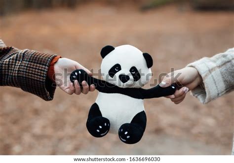 Girls Hands Holding Panda On Autumn Stock Photo 1636696030 | Shutterstock