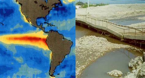 Fenómeno De El Niño Algunos Datos A Tomar En Cuenta Tendencias GestiÓn