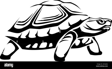 Tortue Illustration En Noir Et Blanc D Une Tortue Isol E Sur Fond