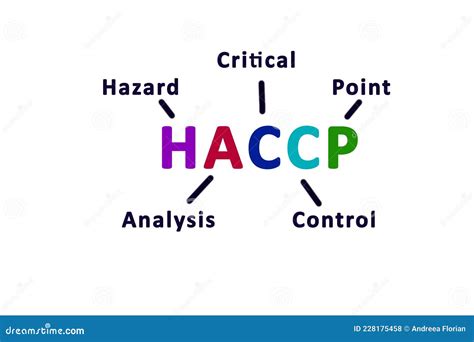 Haccp Hazard Analysis Critical Control Points Icon Stock Illustration Illustration Of Control