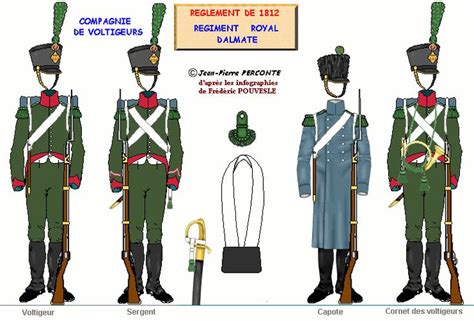 Dalmazia Rgt Reale Cmp Voltigeurs Esercito Napoleone Uniforme