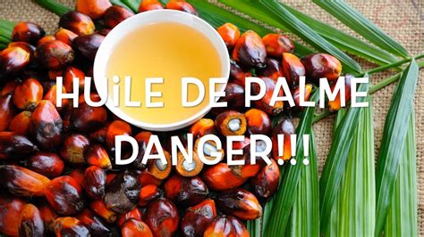 Les Dangers De L Huile De Palme Youtube