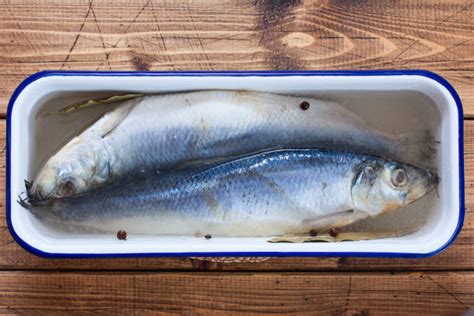 Salting Fish Stock Photos Pictures And Royalty Free Images Istock