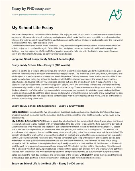 My School Life Essay Essay Writing Examples Essay About Life