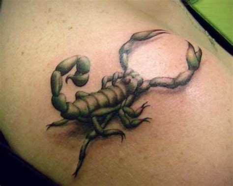 Scorpion Tattoo Designs For Men Easyday