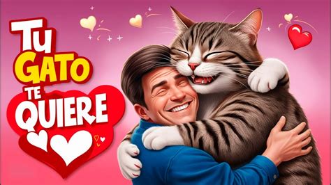 10 Señales Clave De Que Tu Gato Te Quiere ¡descubre Su Amor Secreto 🐾 ️ Youtube