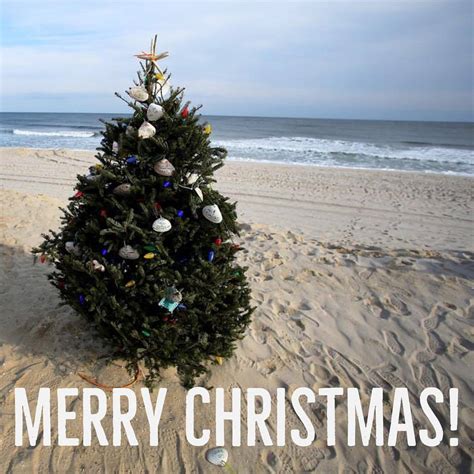 True Jersey — Merry Christmas Jersey Newjersey Nj